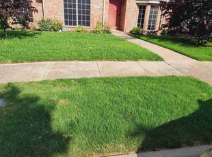 Brian H.'s yard maintenance service result