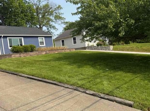 Lorraine M.'s grass maintenance service result