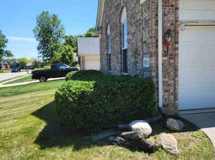 Donna S.'s Bush Trimming service result