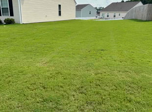 Nadyah W.'s turf maintenance service result