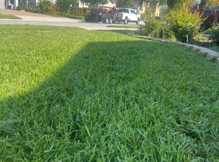 Natalie V.'s lawn maintenance service result