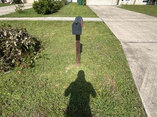 Matt K.'s lawn care services service result