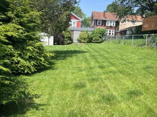 Shawnette I.'s grass maintenance service result