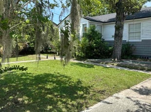 Deana G.'s lawn service service result
