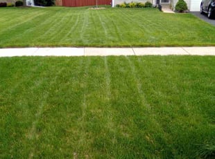 Teresa G.'s lawn care services service result