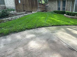 Nikki D.'s grass cutting service result