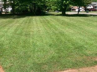 Arlette J.'s lawn care services service result