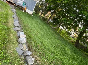 Mary L.'s lawn care service result
