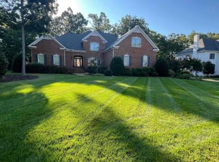 Lisa C.'s turf maintenance service result