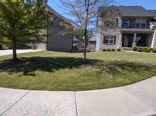 Franeka C.'s grass cutting service result