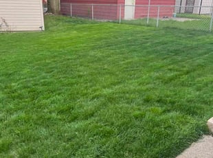 Amanda H.'s yard care service result