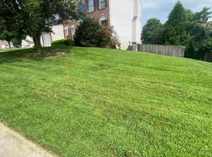 Brittany C.'s lawn care service result