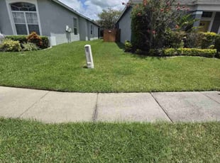 Princess K.'s lawn care services service result