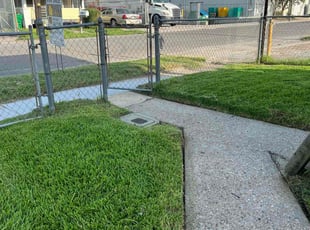 Mikael H.'s lawn care services service result