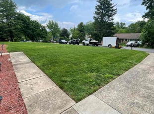 Mick D.'s turf maintenance service result