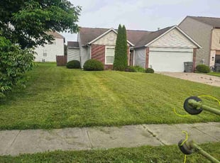 Alessia D.'s lawn care services service result