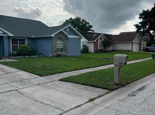 Sarah S.'s grass maintenance service result