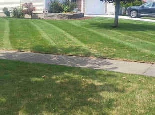 Chris M.'s lawn care services service result