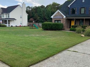 Liliana A.'s grass cutting service result