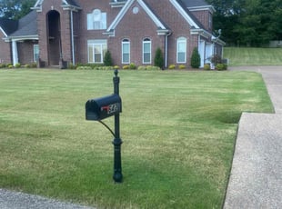 Nacole E.'s turf maintenance service result