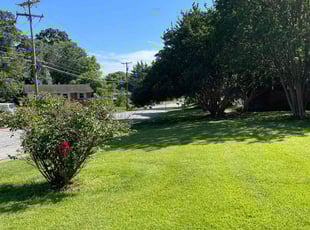 Sheria W.'s grass cutting service result