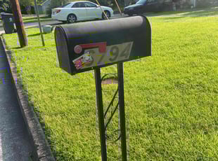 Barbara D.'s lawn service service result