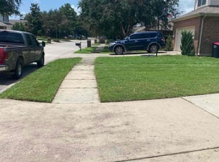Joshua R.'s grass cutting service result