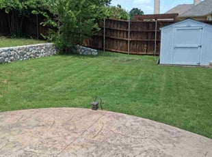 Bennie H.'s lawn care services service result