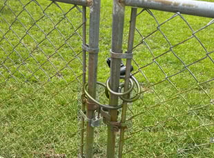 Tiffany M.'s grass maintenance service result