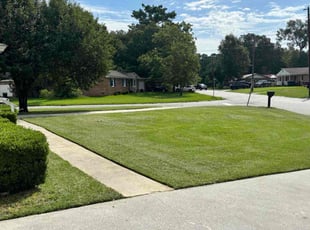 Megan C.'s turf maintenance service result