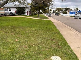 Crystal B.'s turf care service result