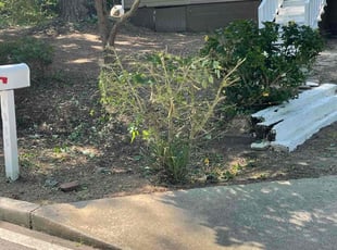 Jamie M.'s Bush Trimming service result