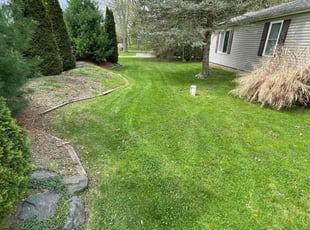 Gloria L.'s yard care service result