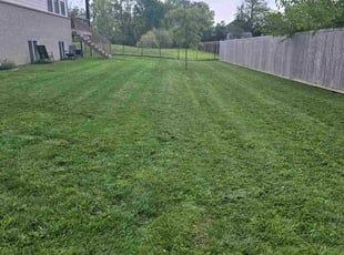 Telberth F.'s lawn maintenance service result