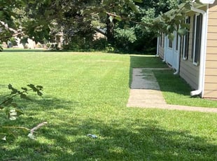 Teresa P.'s grass maintenance service result