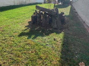 Mary N.'s grass maintenance service result