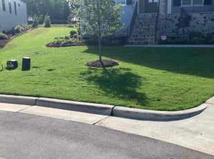 Mary C.'s turf maintenance service result