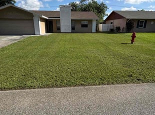 Marilyn G.'s turf care service result