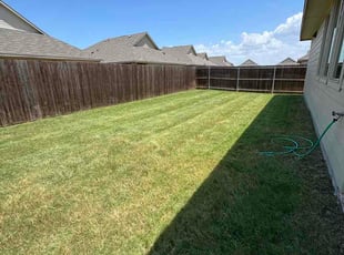 Mona C.'s grass maintenance service result