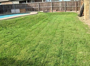 Alyshia L.'s lawn care service result