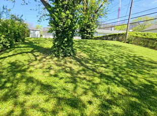 Brandon R.'s grass cutting service result