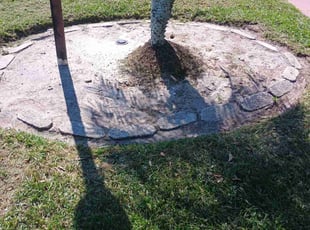 Hasan B.'s Garden Maintenance service result