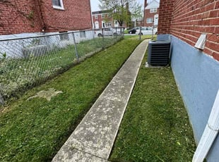 Kelly V.'s lawn maintenance service result