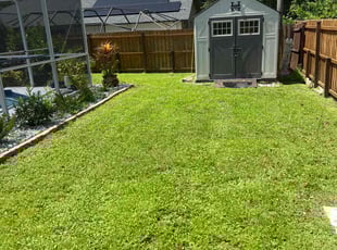Tai D.'s grass maintenance service result