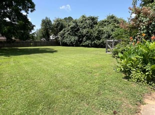 Anthony G.'s lawn care service result