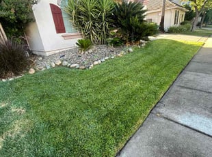 Diana E.'s residential landscaping service result