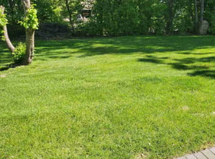 Karla P.'s yard service service result