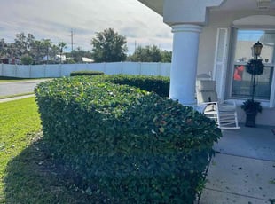 Megan M.'s Bush Trimming service result