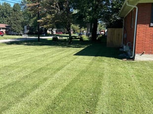 Michael W.'s lawn care service result