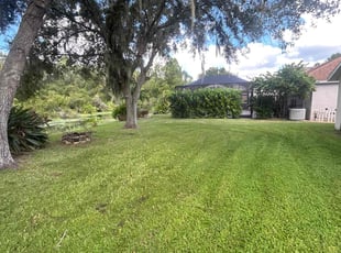 Bruce N.'s turf maintenance service result